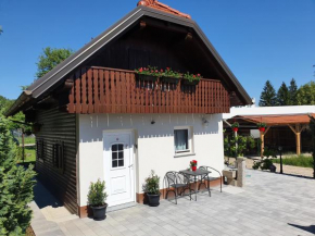 Peaceful Little House in Ljubljana pr Bašc